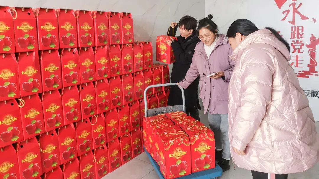 1704417128394972.jpg 1704417128394972.jpg